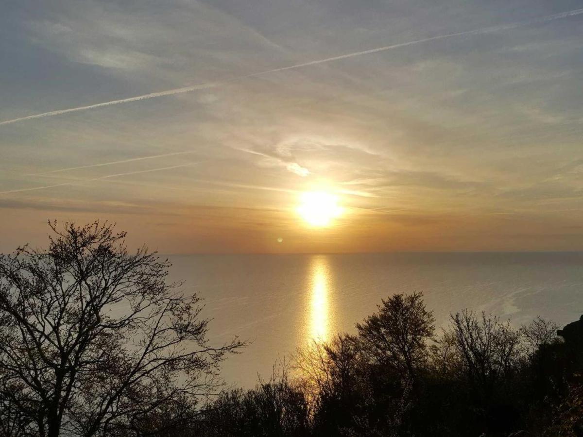 Babbacombe Palms Hotel Torquay Luaran gambar